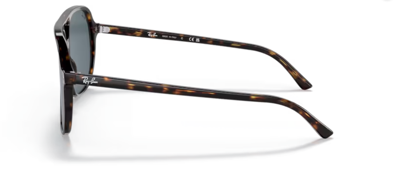 RAY-BAN 2198 BILL
