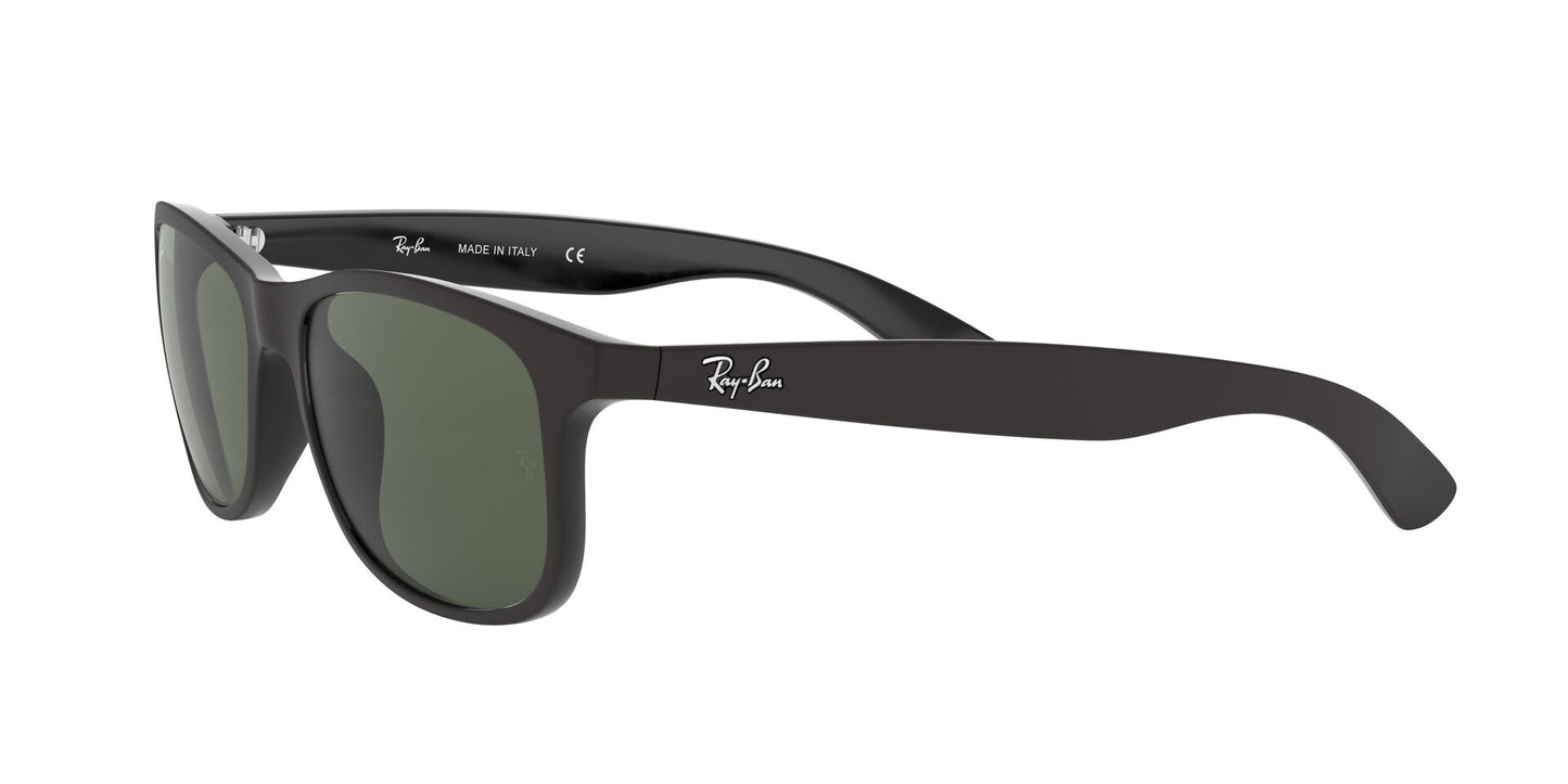 RAY-BAN 4202 ANDY
