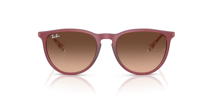 RAY-BAN 4171 ERIKA
