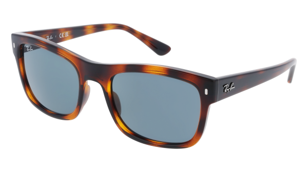 RAY-BAN 4428