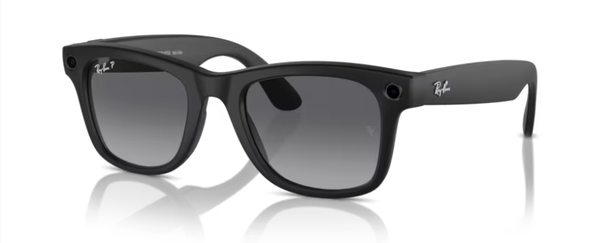 RAY-BAN META WAYFARER RW4008 POLAR