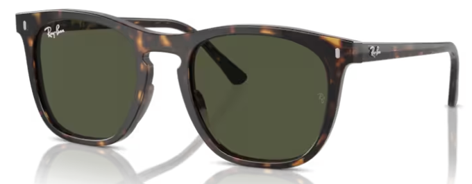 RAY-BAN 2210