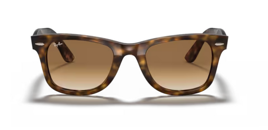 RAY-BAN 4340 WAYFARER