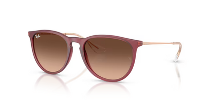 RAY-BAN 4171 ERIKA