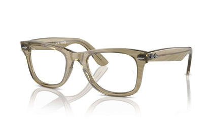RAY-BAN 4340V WAYFARER CHANGE