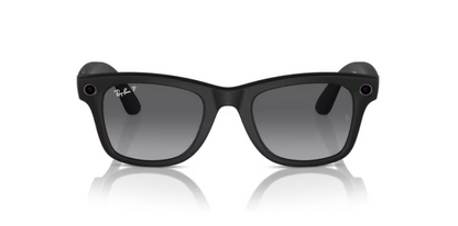 RAY-BAN META WAYFARER RW4006 POLAR