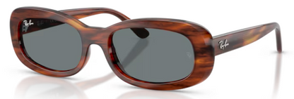 RAY-BAN 2221