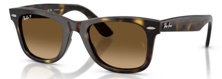 RAY-BAN 4340 WAYFARER