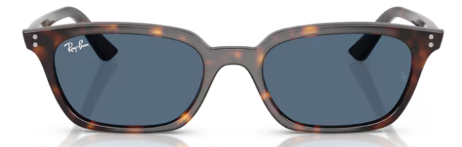 RAY-BAN 4456 ZAYA