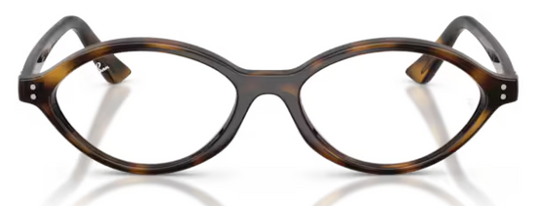 RAY-BAN 7265